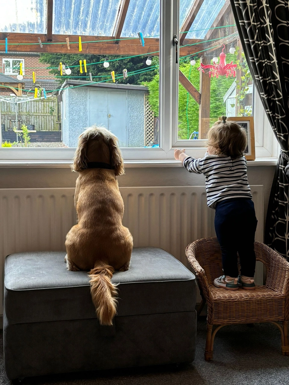 Baby & Dog
